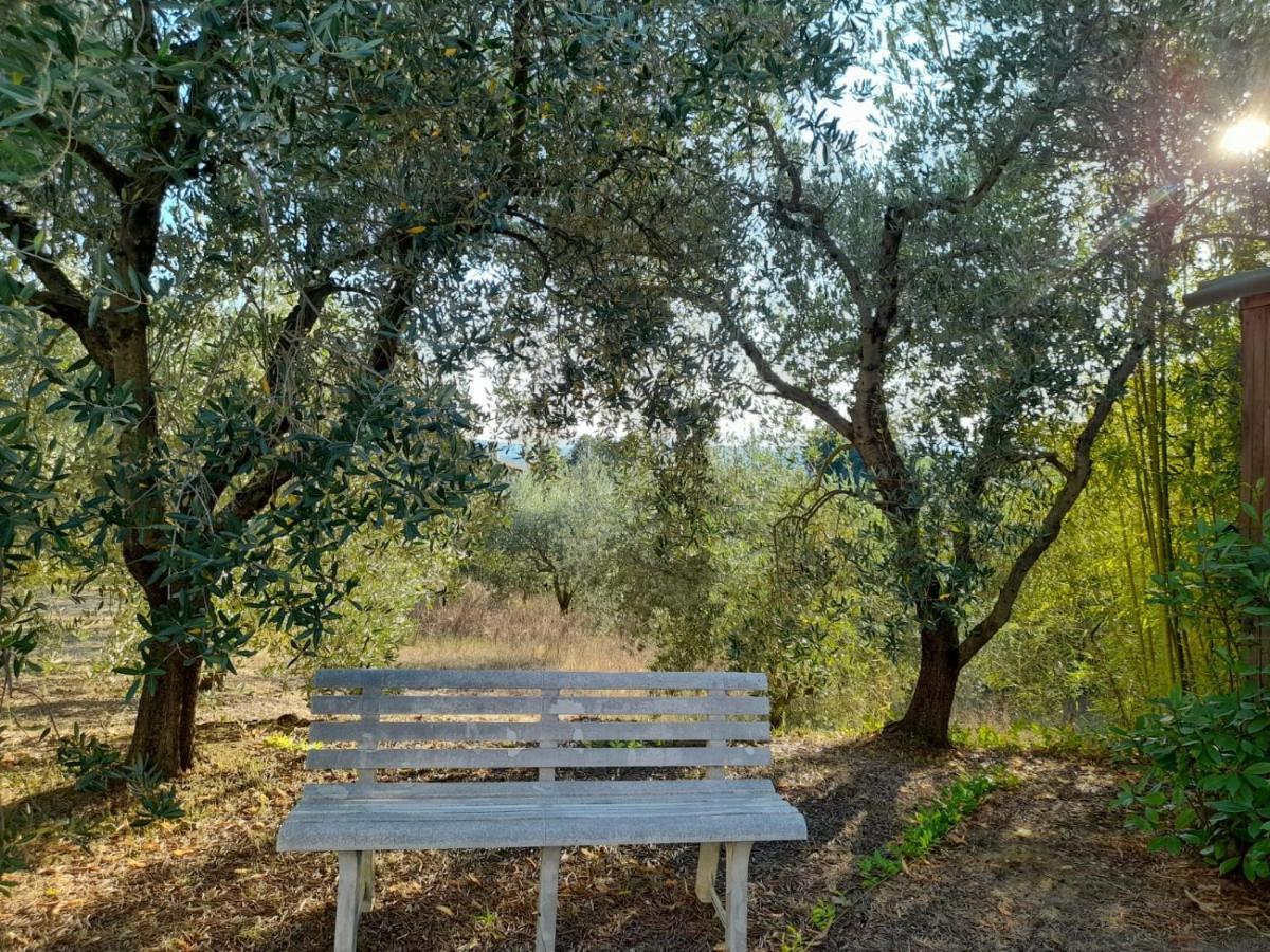 8380 Il Tiglio Verde Manciano Dış mekan fotoğraf