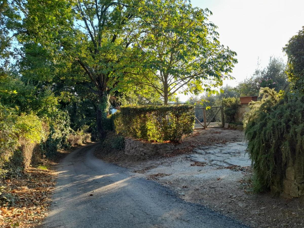 8380 Il Tiglio Verde Manciano Dış mekan fotoğraf
